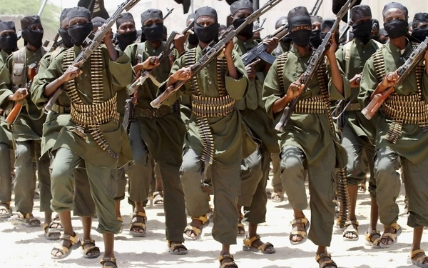सोमालिया सरकारने टोळधाडींमुळे देशात आणीबाणीची केली घोषणा