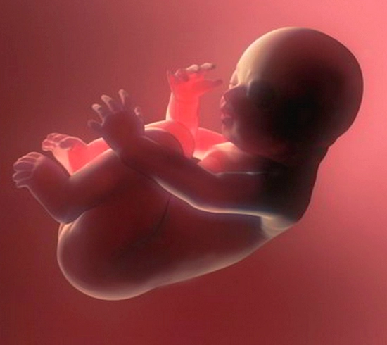 बाळाच्या गर्भनाळेतलं रक्त का साठवलं जातं? त्यासाठी किती खर्च येतो?