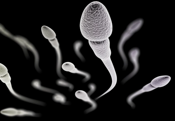 Increase Sperm Count Naturally स्पर्म काउंट आणि क्वालिटी वाढवण्यासाठी खावे हे 7 सुपरफूड्स