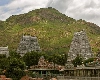 திருவண்ணாமலைக்கு 2700  சிறப்பு பேருந்துகள்: போக்குவரத்து கழகம் அறிவிப்பு