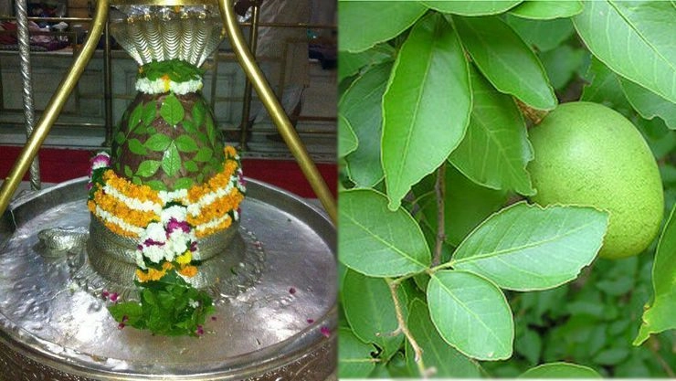 சகல நன்மைகளையும் பெற்று தரும் வில்வ இலை அர்ச்சனை...!!