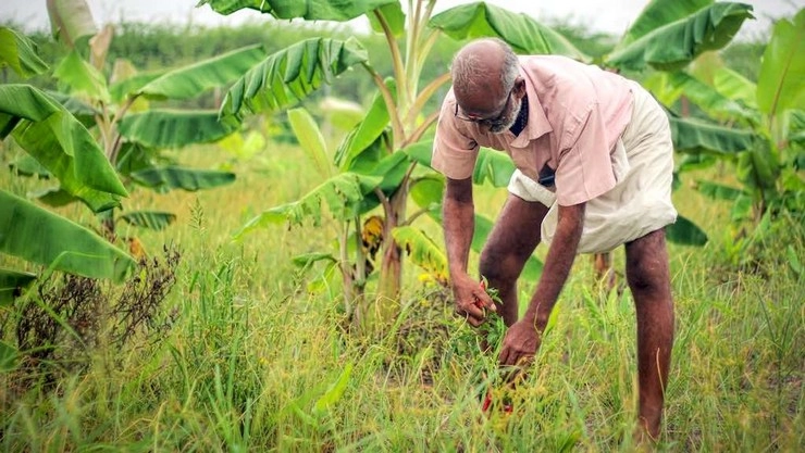 ખેડૂતો માટે હિતકારી નિર્ણય, ૭ ઑગસ્ટથી દશ કલાક વીજળી અપાશે