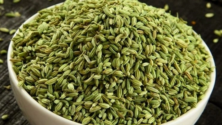 Fennel Seeds : याददाश्त बढ़ाती है सौंफ,17 फायदे जानकर रोज खाएंगे आप