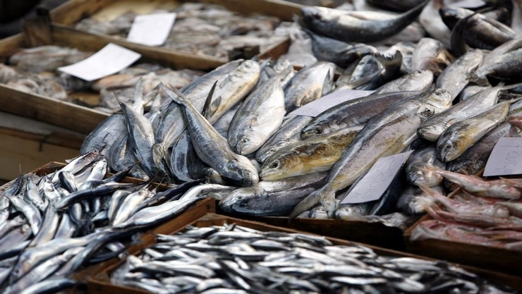 कोरोना लॉकडाऊन : मासेमारी आणि विक्री करणाऱ्या कोळि‍णींसमोर रोजगाराचा आव्हान