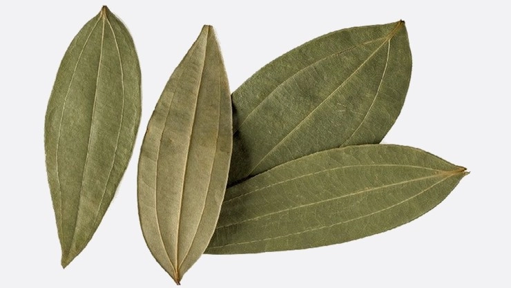 Biryani leaf