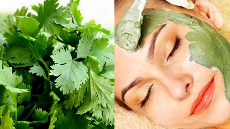 Coriander face pack