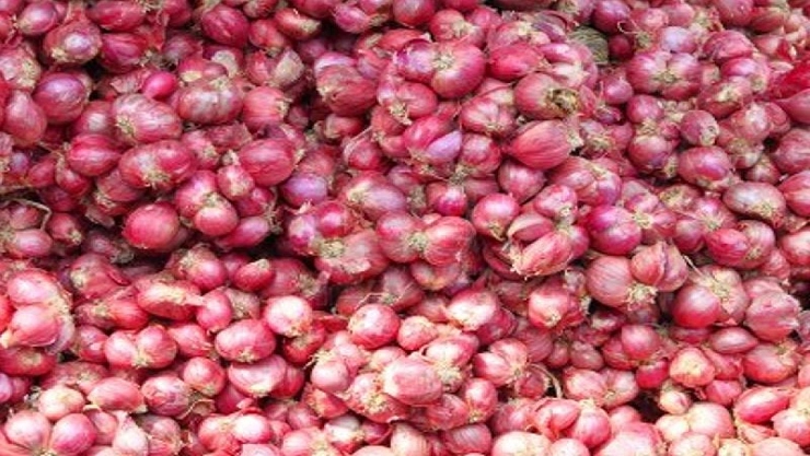 sambar onion