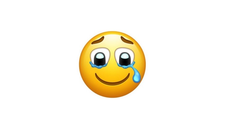 Cry Smile Emoji