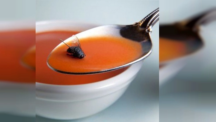 Soup with Fly