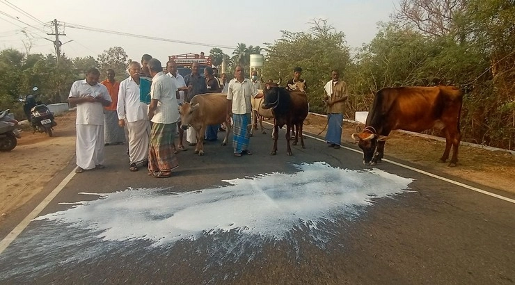 Milk on the road