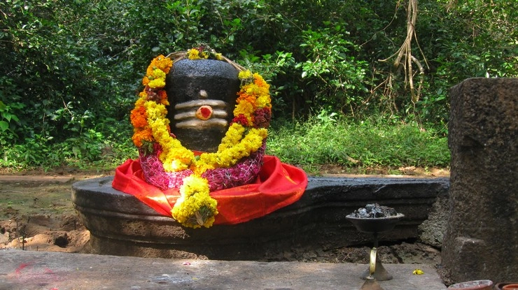 If you do these 7 mistakes on Mahashivratri, there will be a big loss
