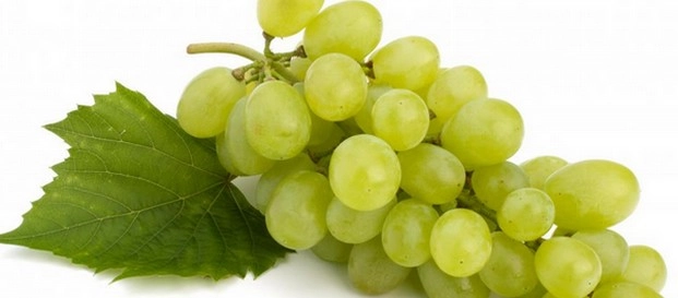 माणसाने 22 हजार वर्षांपूर्वी द्राक्षे खाण्यास केली सुरुवात