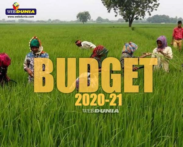 #Budget2020 : రైతులకు సోలార్ పంపుసెట్లు - రసాయనాల నుంచి విముక్తి