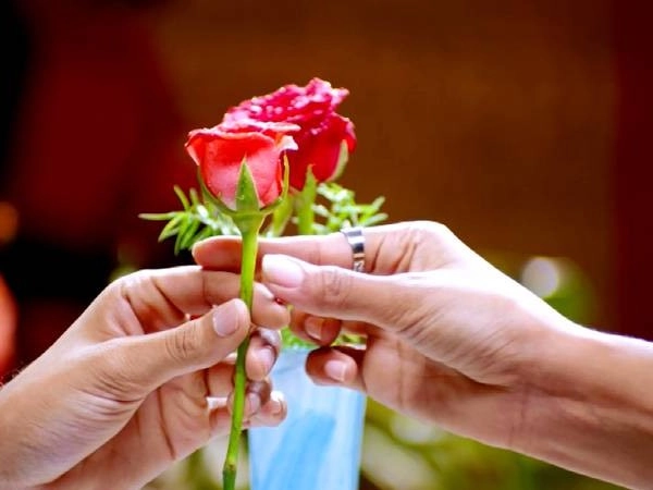 #RoseDay, వేలెంటైన్ వీక్... ఫిబ్రవరి 7న ప్రియురాలికి ఏ గులాబీ? (video)