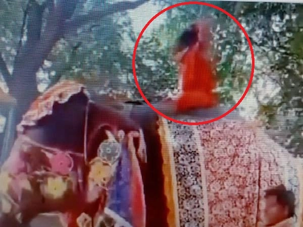 #BabaRamdev ఏనుగు మీద యోగా గురువు, బిళ్లబీటున కింద పడ్డాడు- video