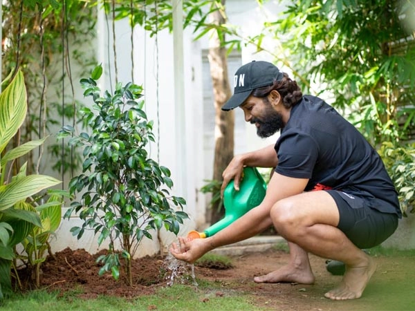Allu arjun planting