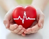 World Heart Day 2022: 'जागतिक हृदय दिन' दरवर्षी 29 सप्टेंबर रोजी साजरा केला जातो, जाणून घ्या या दिवसाची सुरुवात कशी झाली