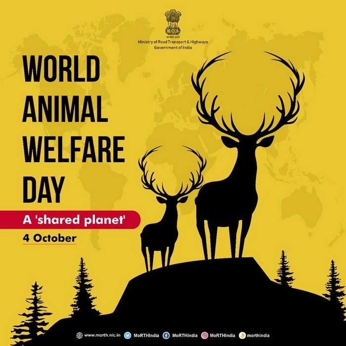 animal welfare day