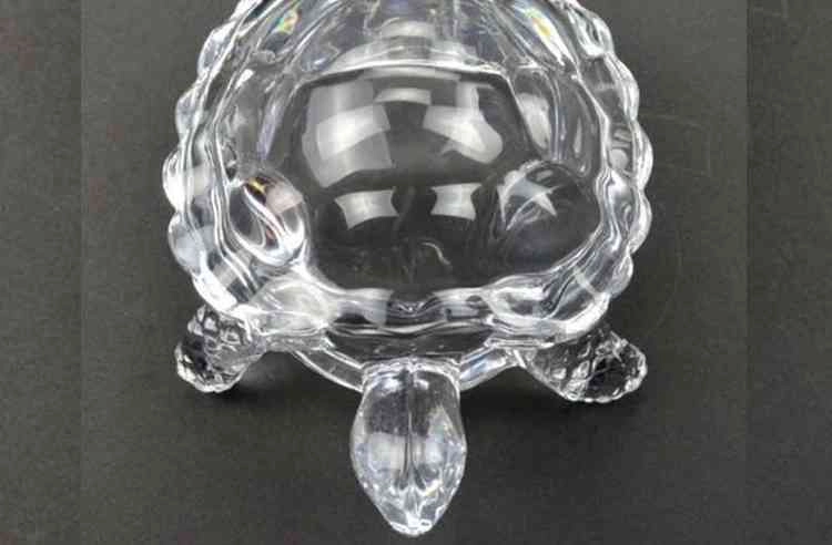 crystal tortoise