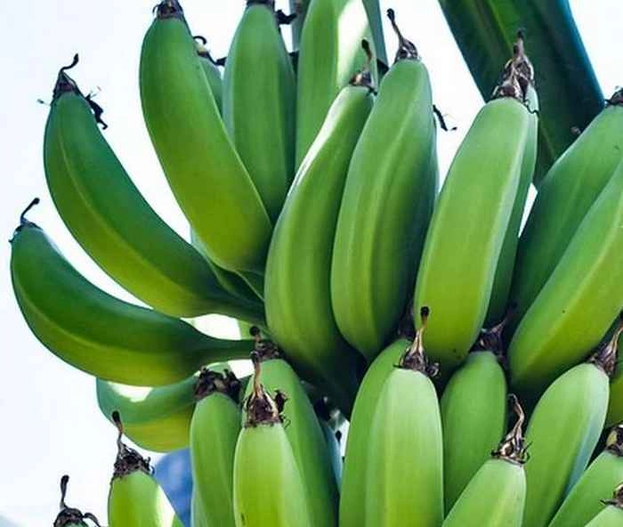 Raw Bananas
