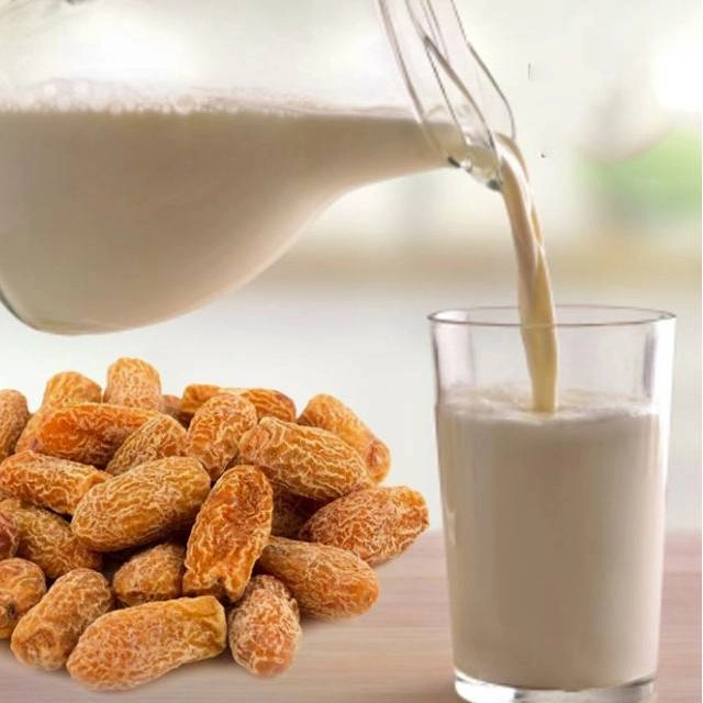 dry dates with milk