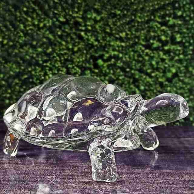 crystal tortoise