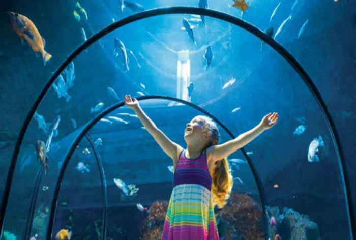 vizag fish aquarium