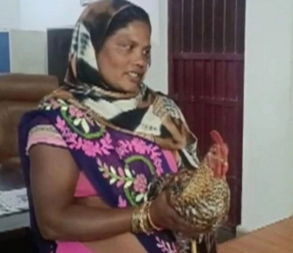woman chicken