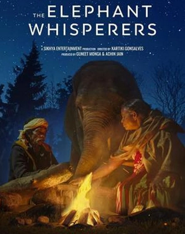the elephant whisperer