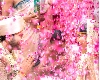 జైపూర్‌ లీలా ప్యాలెస్‌లో శర్వానంద్ రక్షిత పెళ్లివేడుక, 9న హైద్రాబాద్లో రిసెప్షన్
