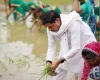 खेत में उतरे-बोया धान, किसानों से इस अंदाज में सीएम डॉ. मोहन ने की 'दिल की बात'