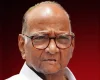 राजकीय वर्तुळात खळबळ: शरद पवारांची राष्ट्रवादी मोठ्या पक्षात विलीन होणार?