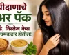 मेथीदाणाचे हेअर पॅक केसांना लावा कोरडे, निस्तेज केस पुन्हा चमकदार होतील!