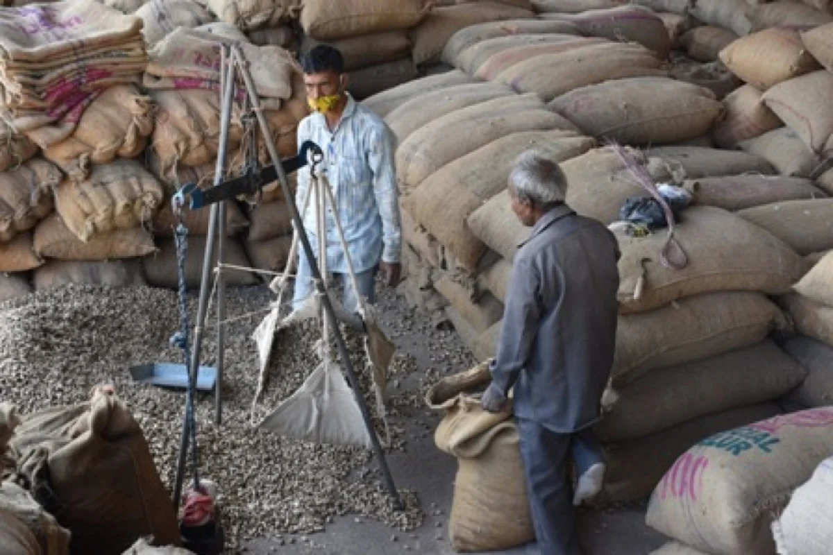 જૂનાગઢ માર્કેટીંગ યાર્ડ