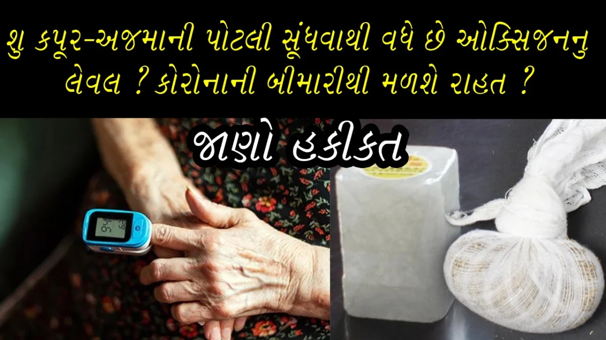 કપૂર અજમો