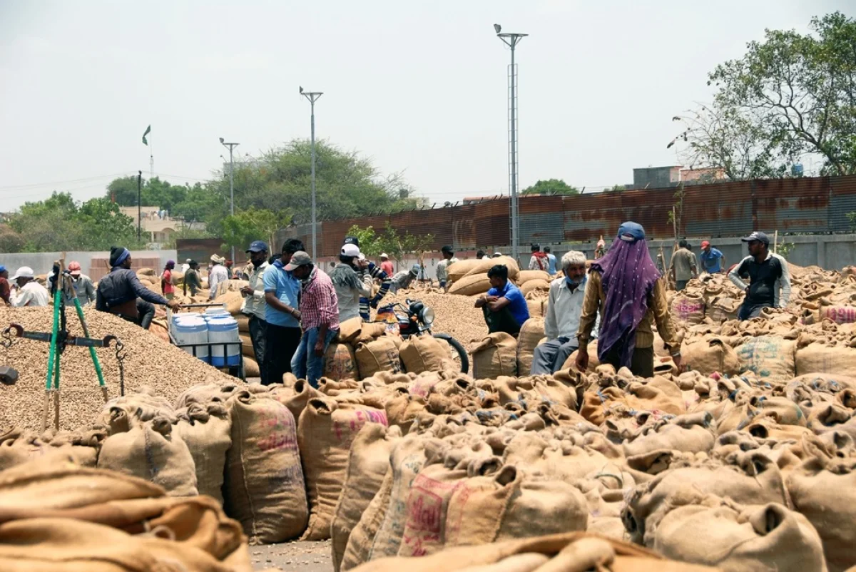 હવે 'ATM’ માંથી મળશે અનાજ
