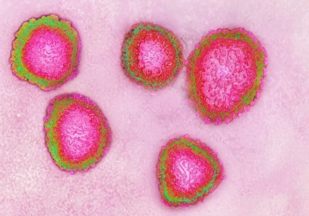 corona updates in India