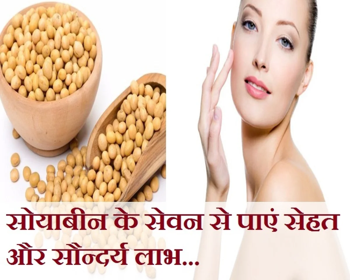 Benefits Of Soya Bean