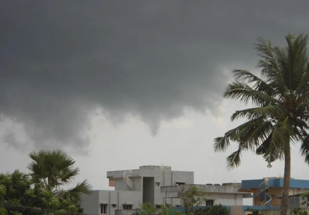 world meteorological day