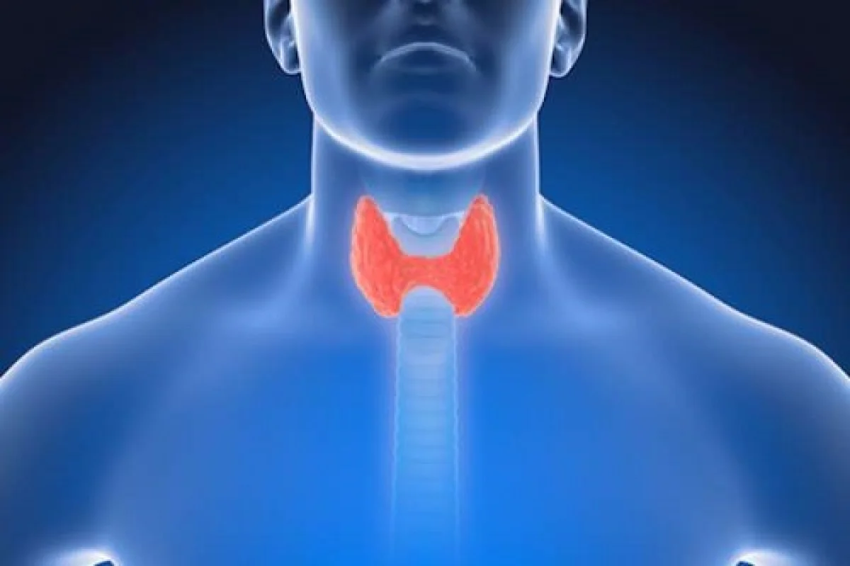 ಬೆಂಗಳೂರು