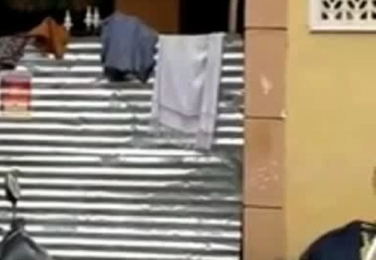 ಸೀಲ್ ಡೌನ್