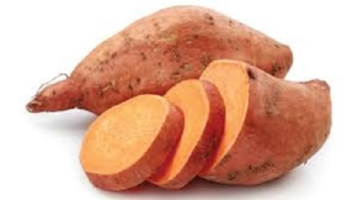 ಬೆಂಗಳೂರು