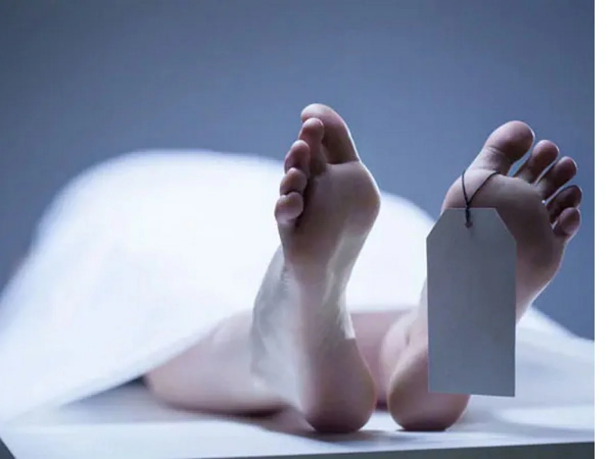 വാർത്തകൾ