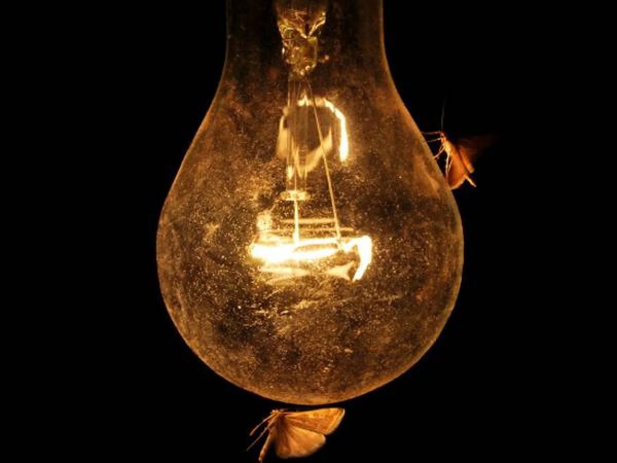 ലോക് ഡൗൺ