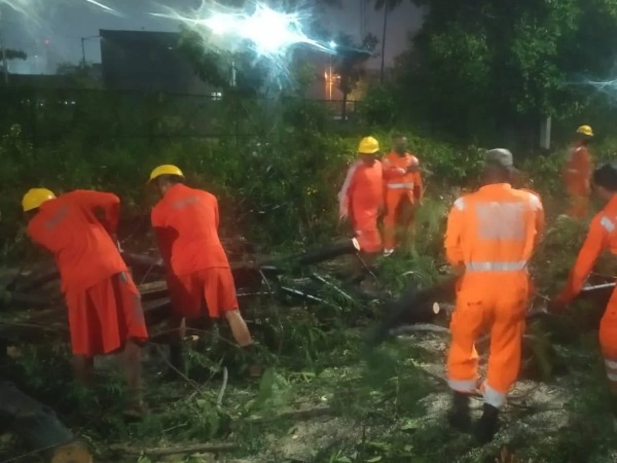 വാർത്തകൾ