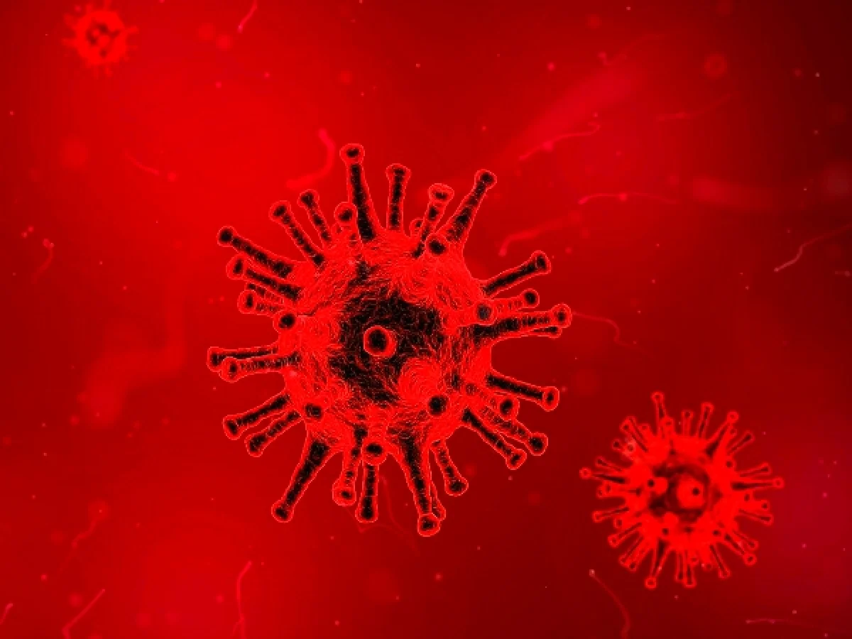 മുഖ്യമന്ത്രി