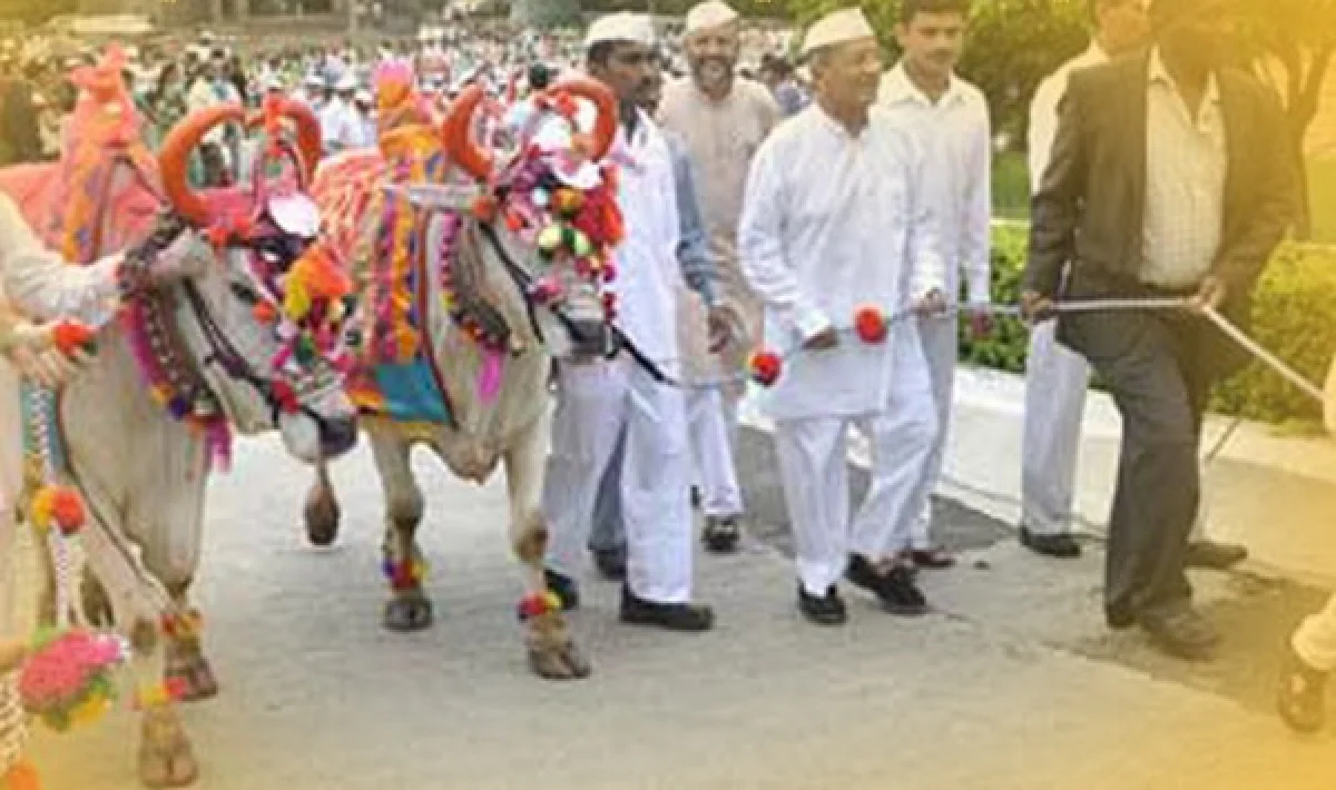 Pola will not be held this year