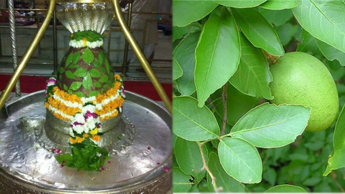 பல ஜென்மம்