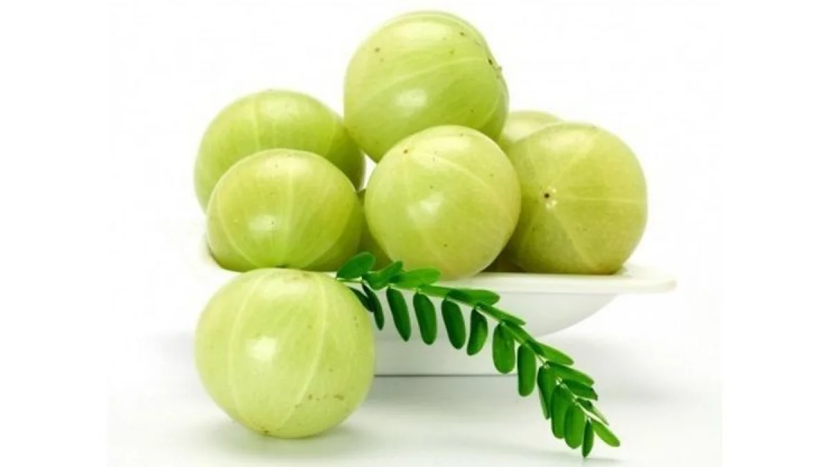 நோய் எதிர்ப்பு சக்தி