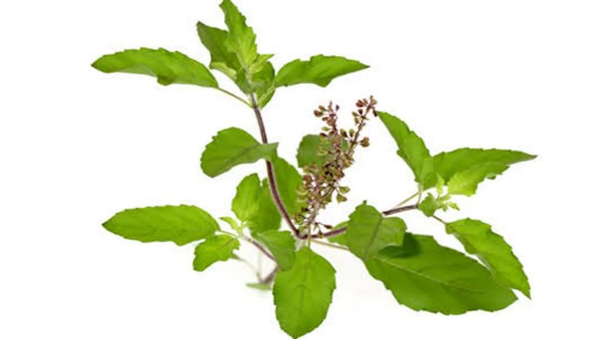 சுவாச பிரச்சனை